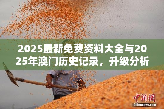 2025最新免费资料大全与2025年澳门历史记录，升级分析、专家解读解释与落实,谨防华而不实包装