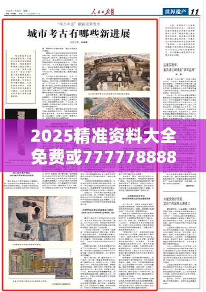 2025精准资料大全免费或7777788888管家婆老家，升级分析、专家解读解释与落实,谨防华而不实包装