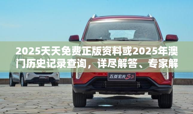 2025天天免费正版资料或2025年澳门历史记录查询，详尽解答、专家解读解释与落实?小心虚假的陷阱