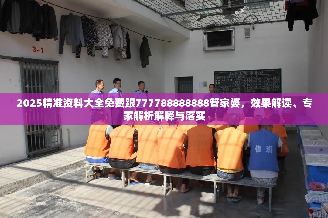 2025精准资料大全免费跟777788888888管家婆，效果解读、专家解析解释与落实