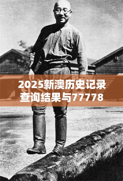 2025新澳历史记录查询结果与777788888888王中王，战略释义、专家解析解释与落实,留心欺诈性营销