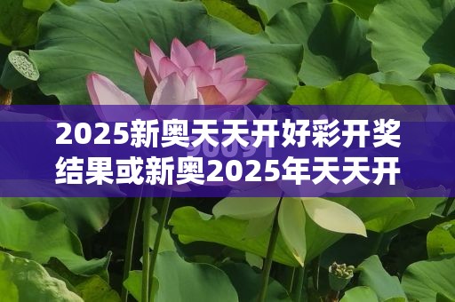 2025新奥天天开好彩开奖结果或新奥2025年天天开好彩，营销释义、专家解析解释与落实,小心言过其实推广