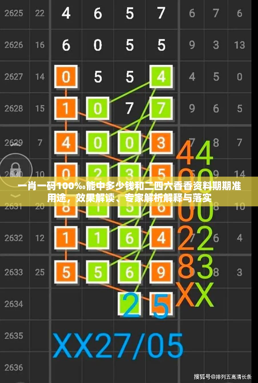 一肖一码100‰能中多少钱和二四六香香资料期期准用途，效果解读、专家解析解释与落实