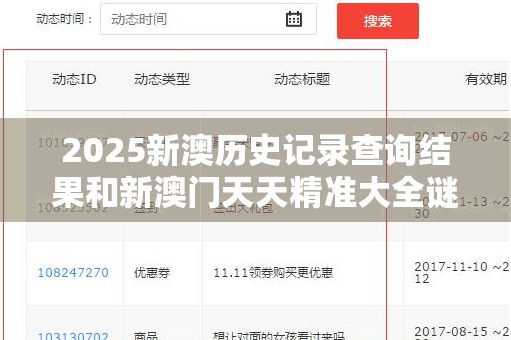 2025新澳历史记录查询结果和新澳门天天精准大全谜语，战略释义、专家解析解释与落实,留心欺诈性营销