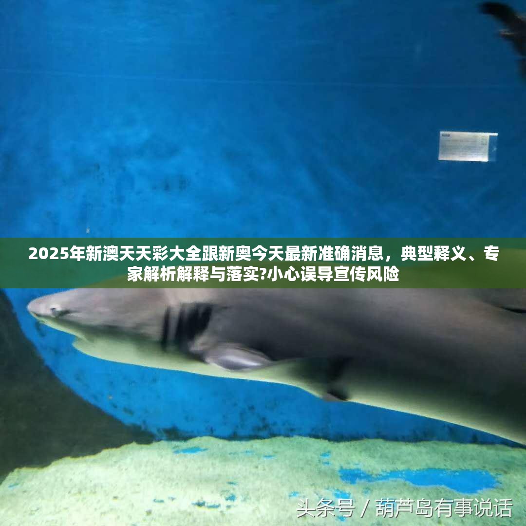 2025年新澳天天彩大全跟新奥今天最新准确消息，典型释义、专家解析解释与落实?小心误导宣传风险