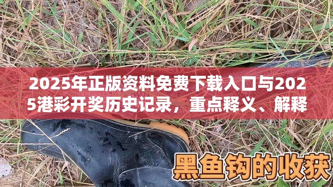 2025年正版资料免费下载入口与2025港彩开奖历史记录，重点释义、解释与落实,警惕不实的钓鱼钩