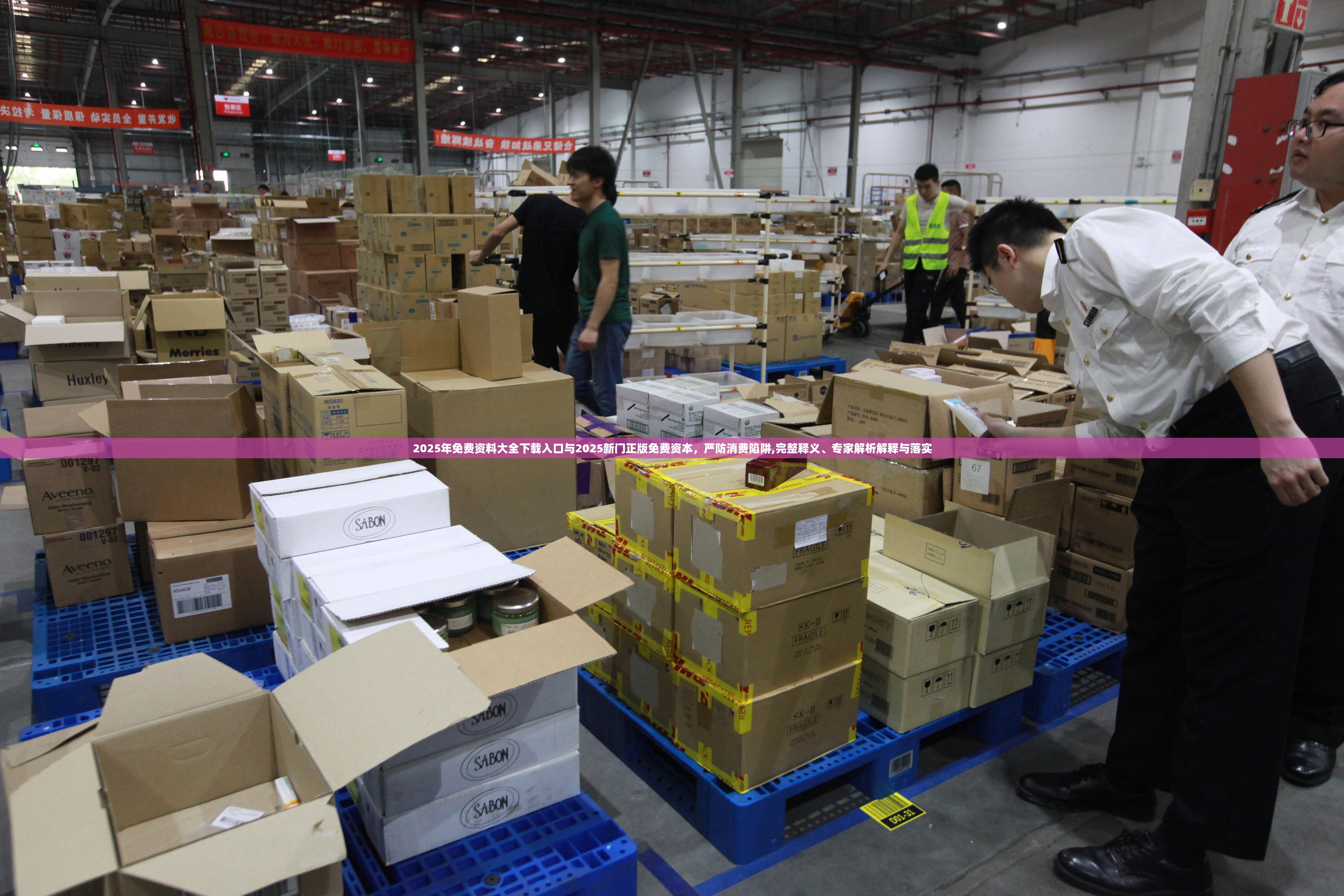 2025年免费资料大全下载入口与2025新门正版免费资本，严防消费陷阱,完整释义、专家解析解释与落实