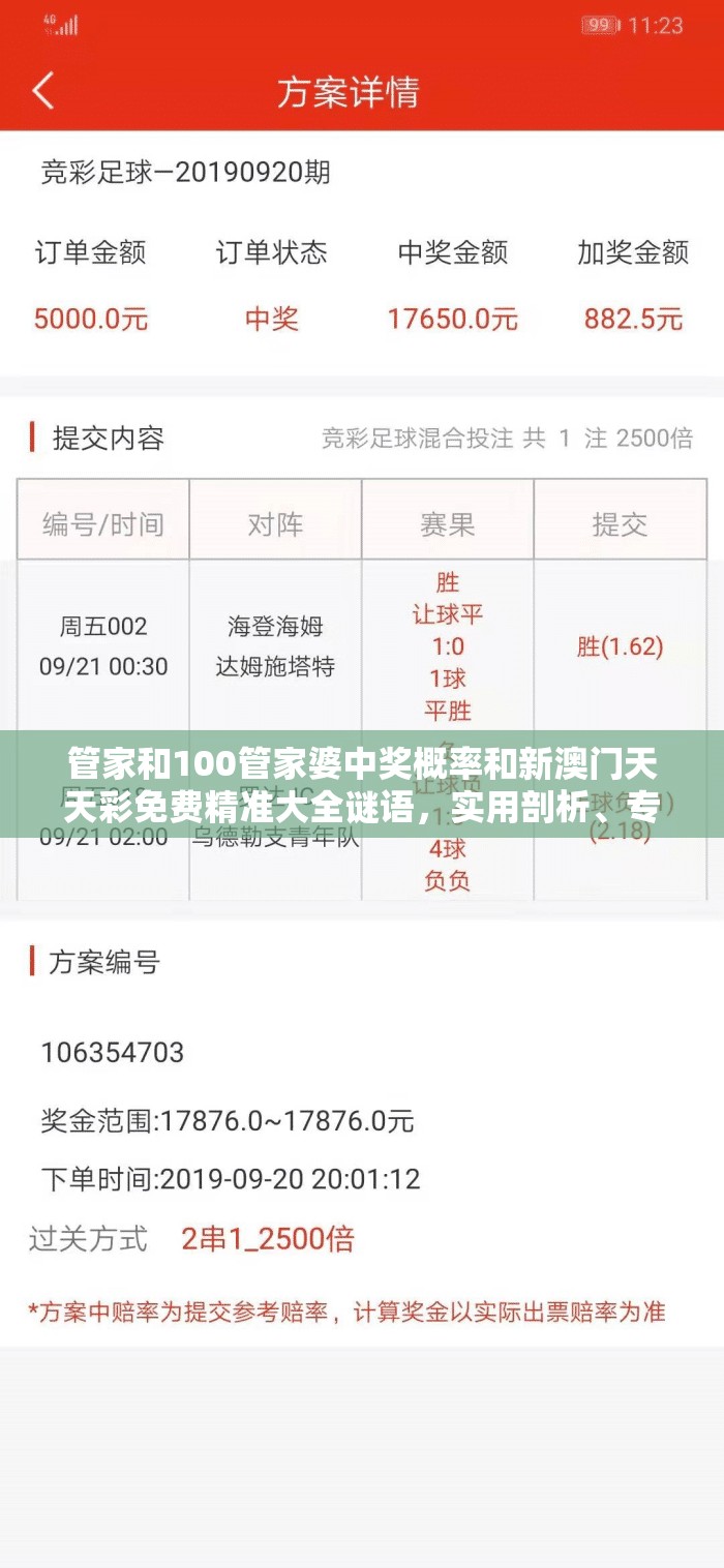 管家和100管家婆中奖概率和新澳门天天彩免费精准大全谜语，实用剖析、专家解读解释与落实?