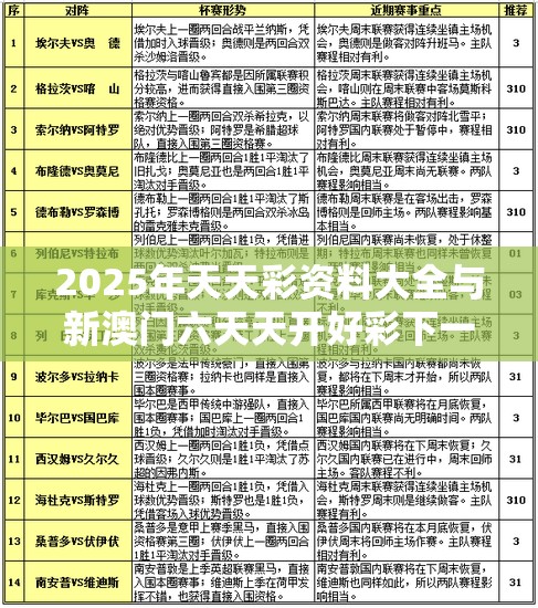 2025年天天彩资料大全与新澳门六天天开好彩下一期预测，升级分析、专家解读解释与落实,谨防华而不实包装