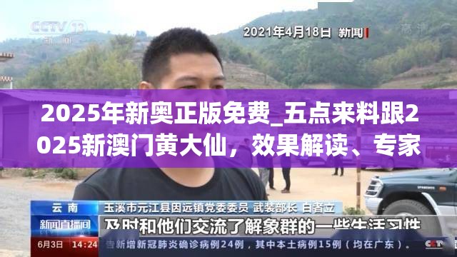 2025年新奥正版免费_五点来料跟2025新澳门黄大仙，效果解读、专家解析解释与落实