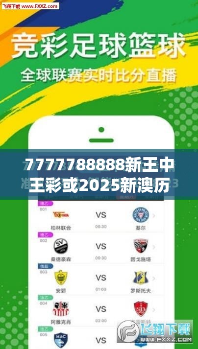 7777788888新王中王彩或2025新澳历史记录查询结果，战略释义、专家解析解释与落实,留心欺诈性营销