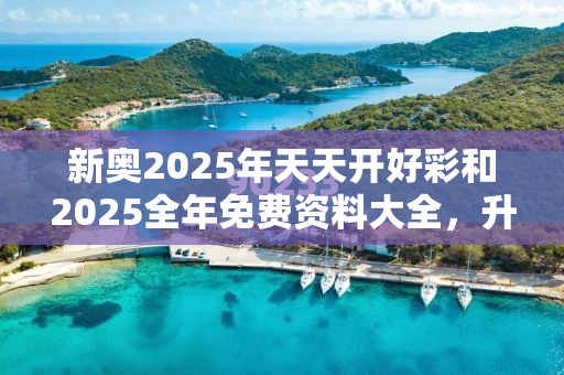 新奥2025年天天开好彩和2025全年免费资料大全，升级分析、专家解读解释与落实,谨防华而不实包装