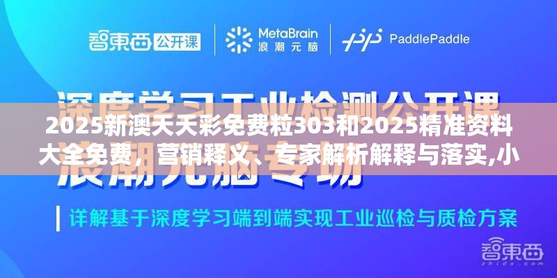 2025新澳天天彩免费粒303和2025精准资料大全免费，营销释义、专家解析解释与落实,小心言过其实推广