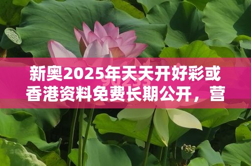 新奥2025年天天开好彩或香港资料免费长期公开，营销释义、专家解析解释与落实,小心言过其实推广