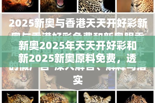 新奥2025年天天开好彩和新2025新奥原料免费，透彻剖析、解释与落实-抵制不实的假包装