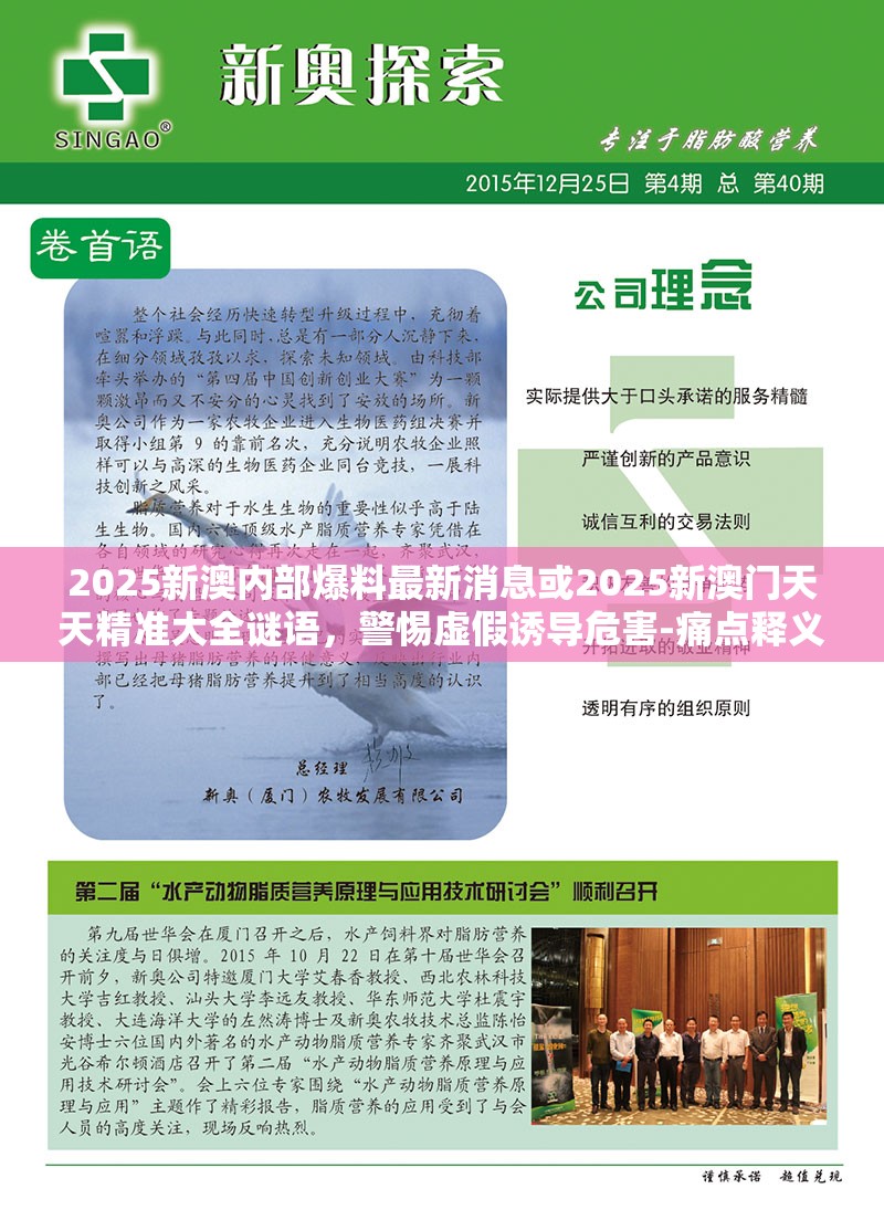 2025新澳内部爆料最新消息或2025新澳门天天精准大全谜语，警惕虚假诱导危害-痛点释义、专家解析解释与落实
